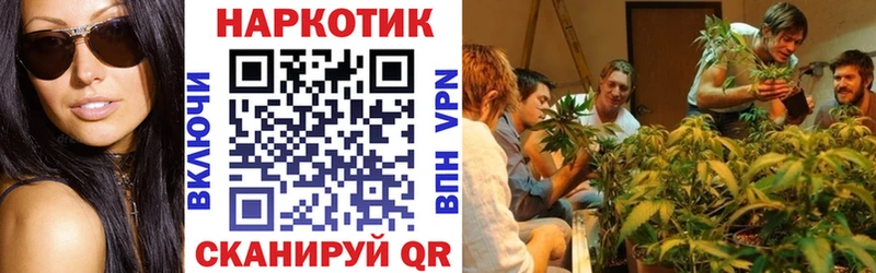 Наркотические вещества Тосно Alpha-PVP Меф мяу мяу Галлюциногенные грибы ЭКСТАЗИ Гашиш Канабис ГЕРОИН