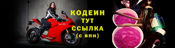 хмурый Покачи