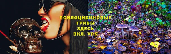 спиды Алзамай