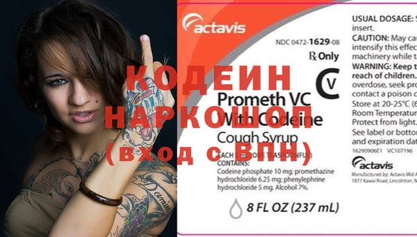 хмурый Покачи