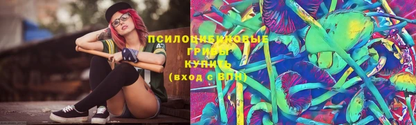 спиды Алзамай