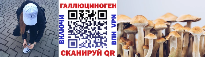 Псилоцибиновые грибы ЛСД  Тосно 